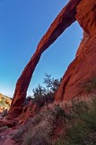 USA dicks arch.jpg